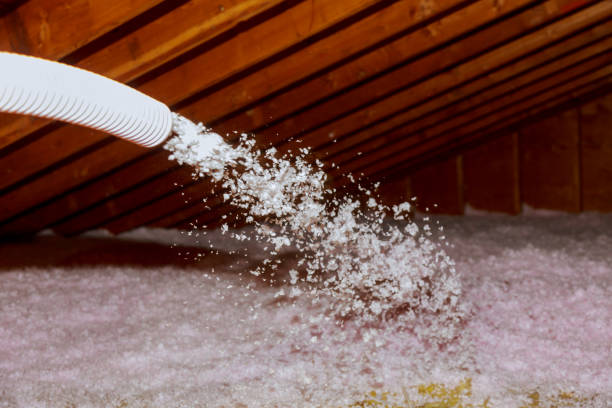 Types of Insulation We Offer in Huguley, AL