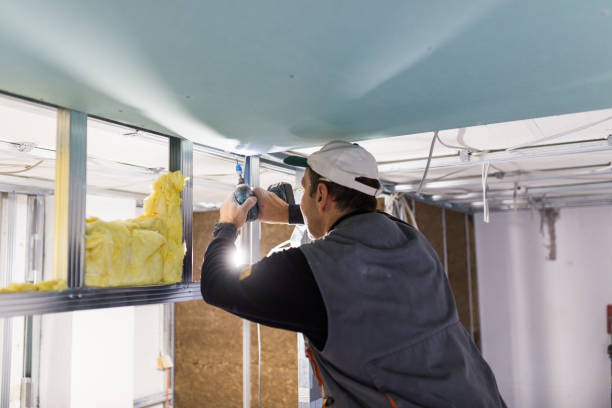 Types of Insulation We Offer in Huguley, AL
