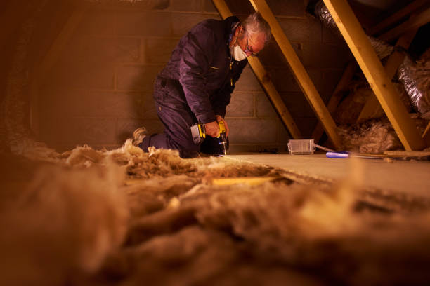 Best Eco-Friendly Insulation in Huguley, AL